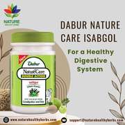 Dabur Nature Care Isabgol for Healthy Digestive System 