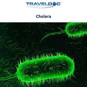 Cholera Vaccination Nottingham